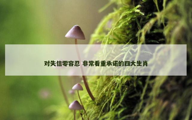 对失信零容忍 非常看重承诺的四大生肖