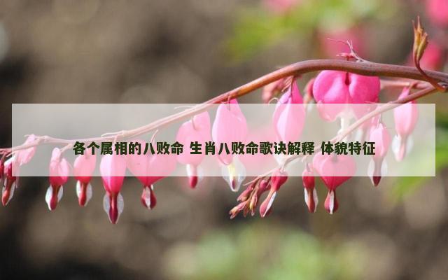 各个属相的八败命 生肖八败命歌诀解释 体貌特征
