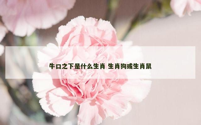 牛口之下是什么生肖 生肖狗或生肖鼠