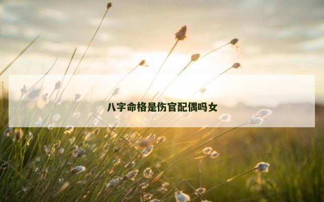 八字命格是伤官配偶吗女
