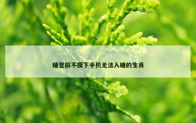 睡觉前不摸下手机无法入睡的生肖