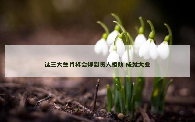 这三大生肖将会得到贵人相助 成就大业