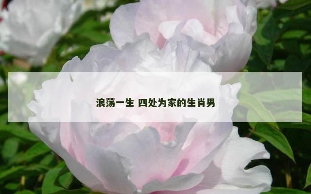 浪荡一生 四处为家的生肖男
