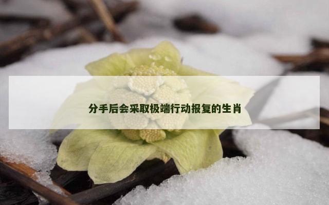 分手后会采取极端行动报复的生肖