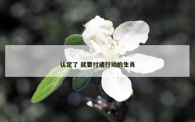 认定了 就要付诸行动的生肖