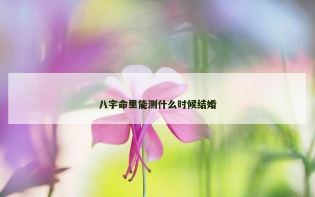 八字命里能测什么时候结婚