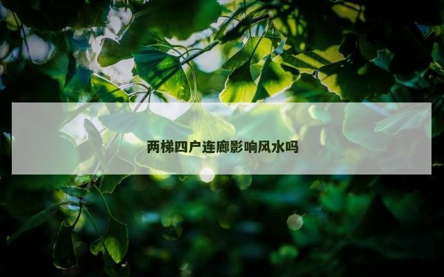 两梯四户连廊影响风水吗
