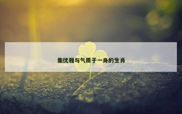 集优雅与气质于一身的生肖
