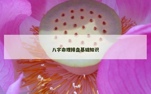 八字命理排盘基础知识