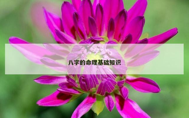 八字的命理基础知识