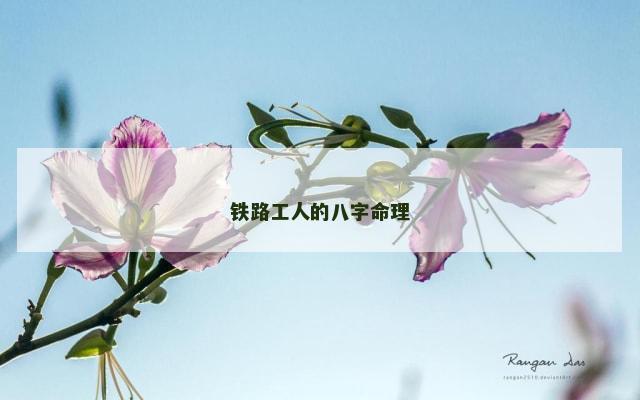 铁路工人的八字命理