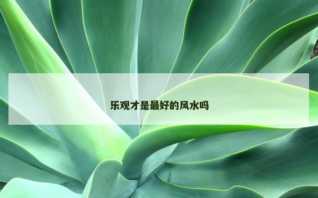 乐观才是最好的风水吗