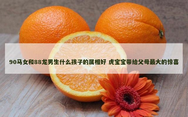 90马女和88龙男生什么孩子的属相好 虎宝宝带给父母最大的惊喜