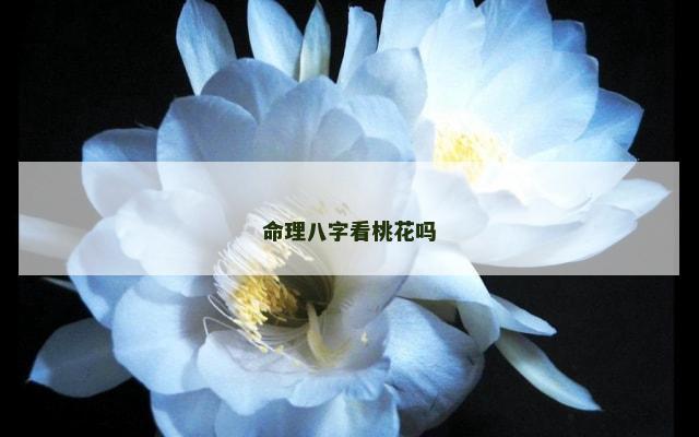 命理八字看桃花吗