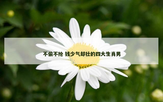 不偷不抢 钱少气却壮的四大生肖男