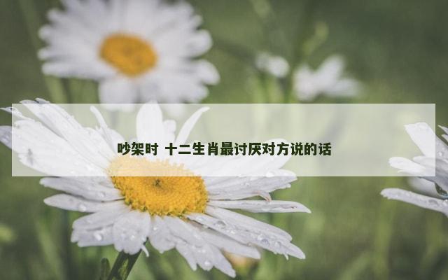 吵架时 十二生肖最讨厌对方说的话