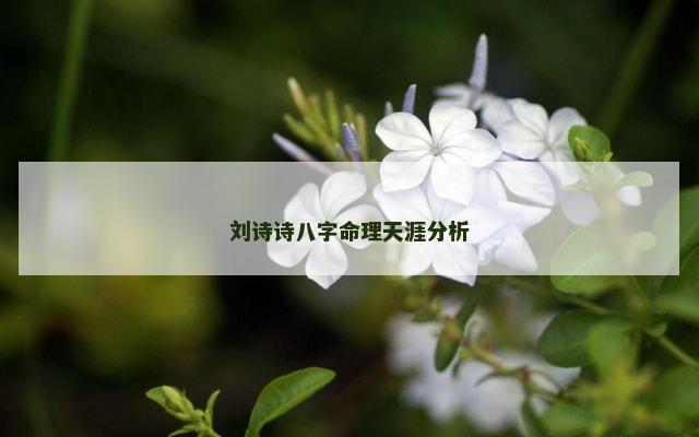 刘诗诗八字命理天涯分析
