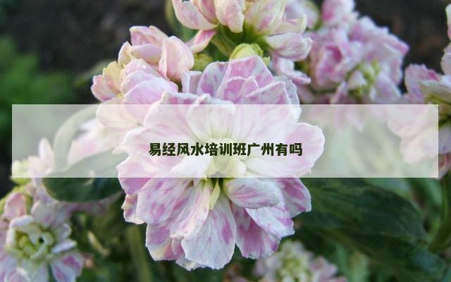 易经风水培训班广州有吗