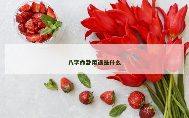 八字命卦用途是什么