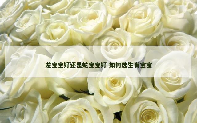 龙宝宝好还是蛇宝宝好 如何选生肖宝宝