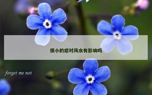 很小的痣对风水有影响吗
