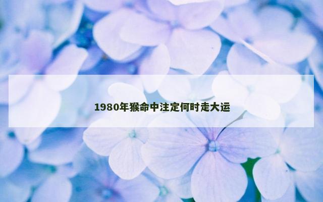 1980年猴命中注定何时走大运