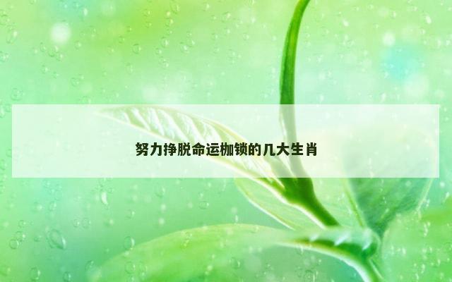 努力挣脱命运枷锁的几大生肖