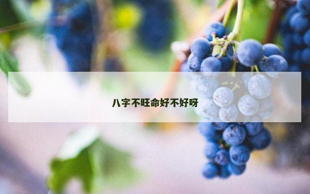 八字不旺命好不好呀