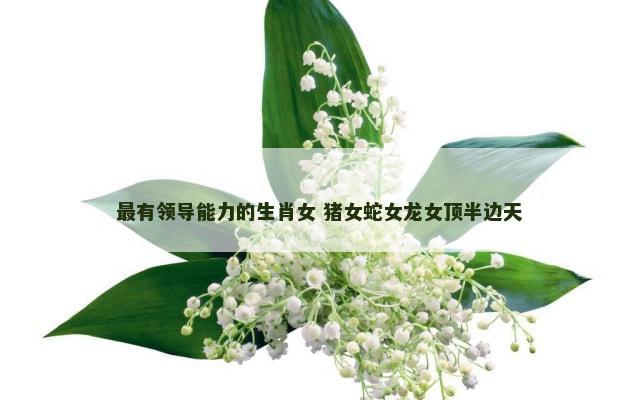 最有领导能力的生肖女 猪女蛇女龙女顶半边天