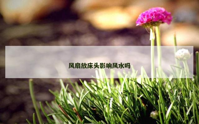 风扇放床头影响风水吗
