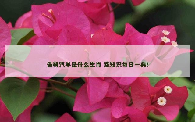 告朔饩羊是什么生肖 涨知识每日一典！