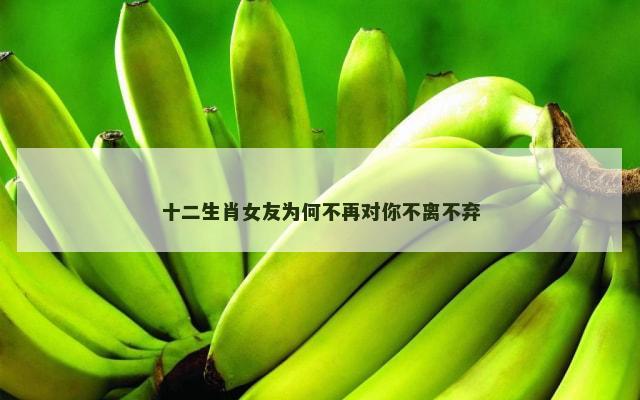 十二生肖女友为何不再对你不离不弃