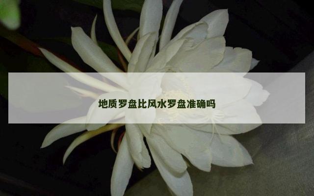 地质罗盘比风水罗盘准确吗