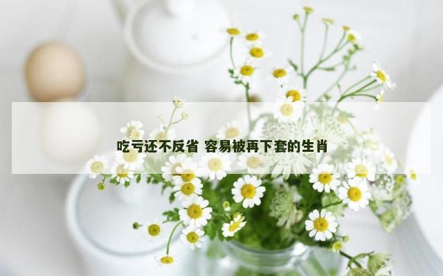 吃亏还不反省 容易被再下套的生肖