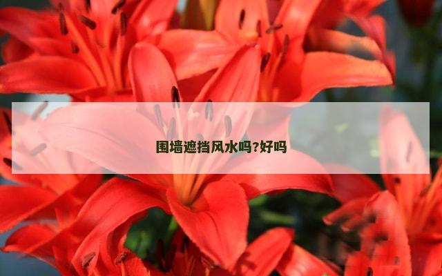围墙遮挡风水吗?好吗