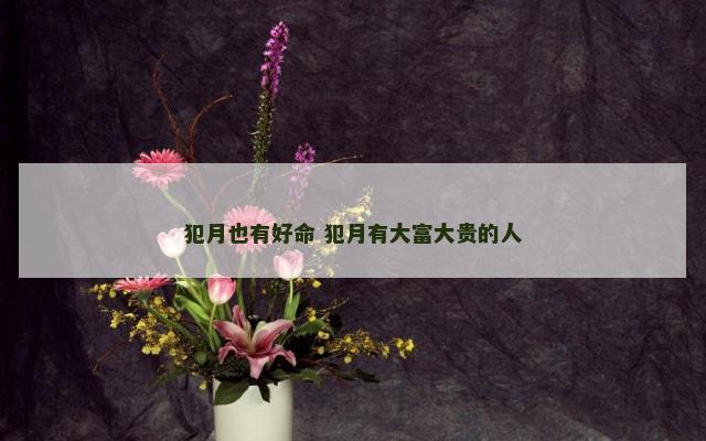 犯月也有好命 犯月有大富大贵的人