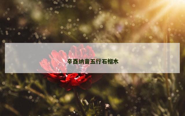 辛酉纳音五行石榴木