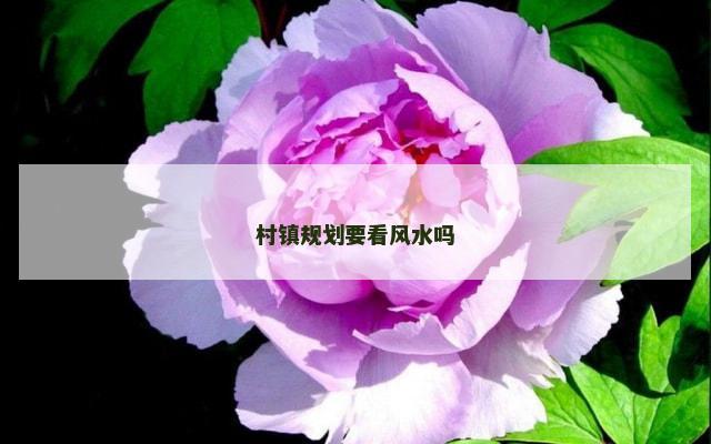 村镇规划要看风水吗