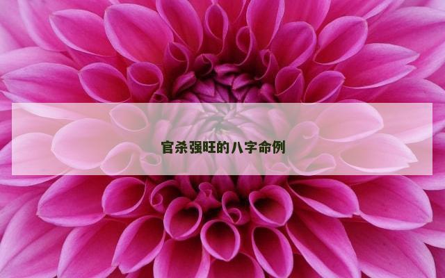 官杀强旺的八字命例