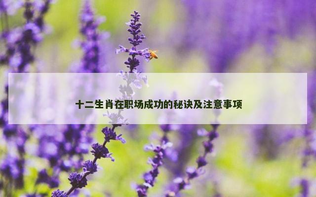 十二生肖在职场成功的秘诀及注意事项