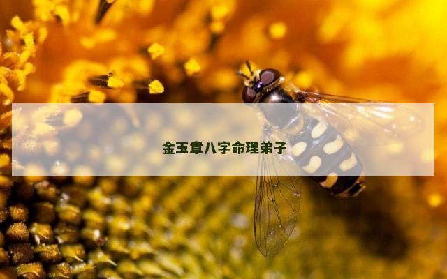 金玉章八字命理弟子