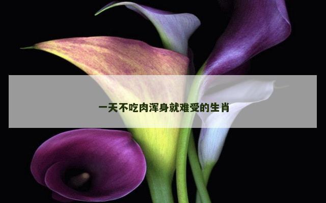 一天不吃肉浑身就难受的生肖
