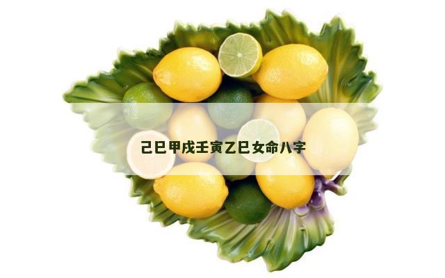 己巳甲戌壬寅乙巳女命八字