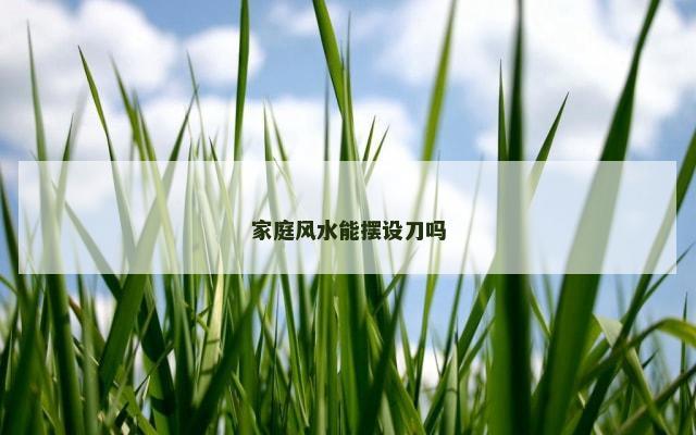 家庭风水能摆设刀吗