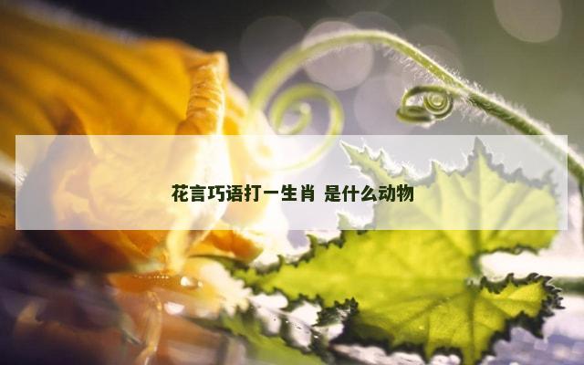花言巧语打一生肖 是什么动物
