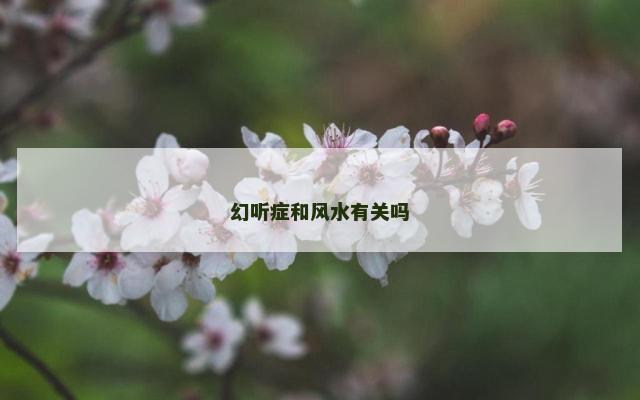 幻听症和风水有关吗
