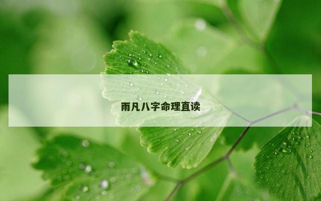 雨凡八字命理直读