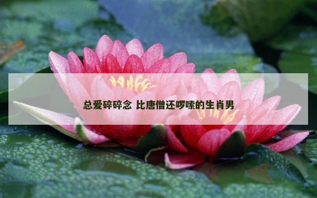总爱碎碎念 比唐僧还啰嗦的生肖男