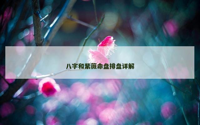八字和紫薇命盘排盘详解