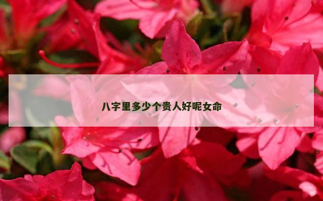 八字里多少个贵人好呢女命